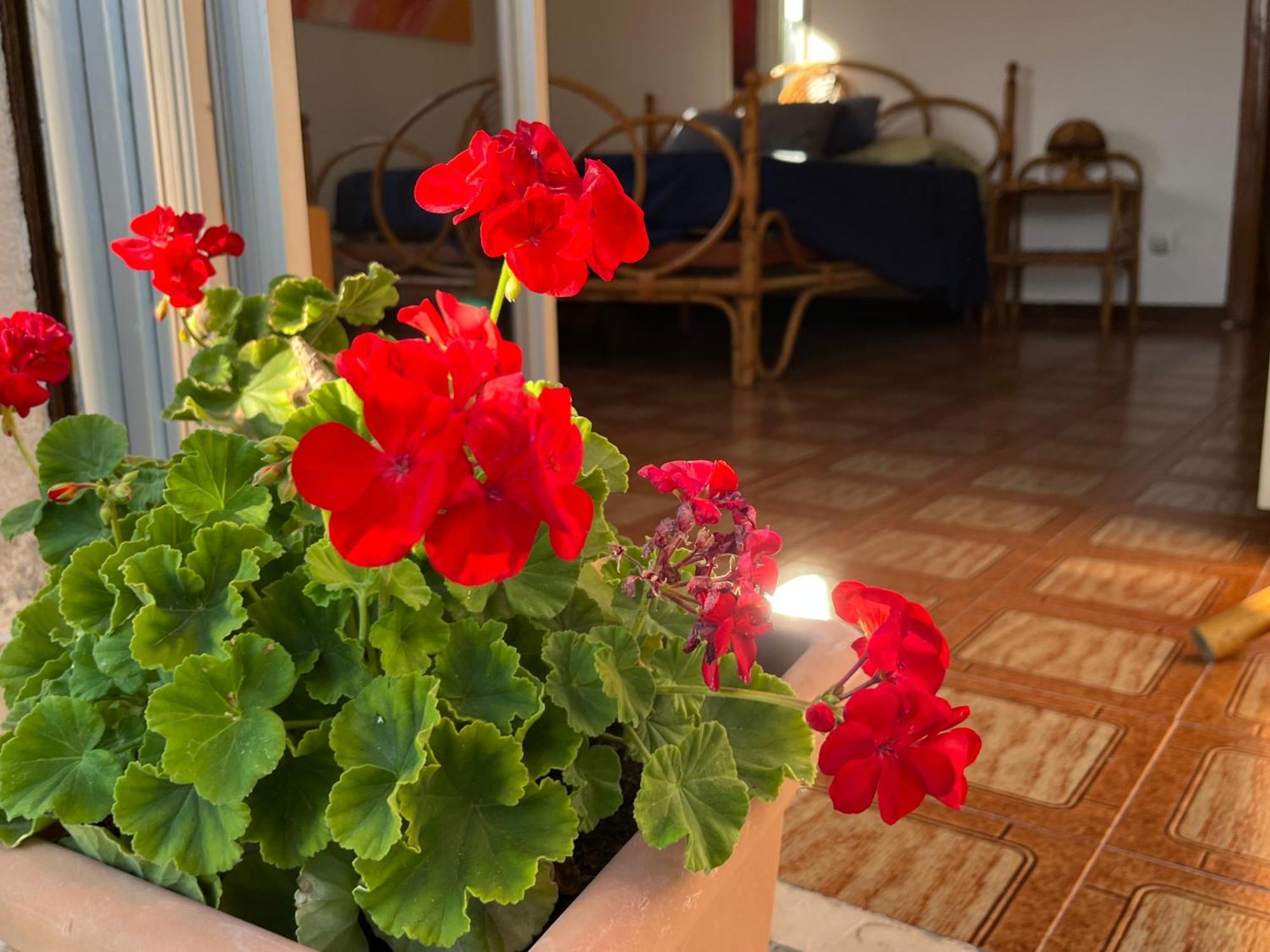 蒙德罗A Casa Di Mara公寓 外观 照片