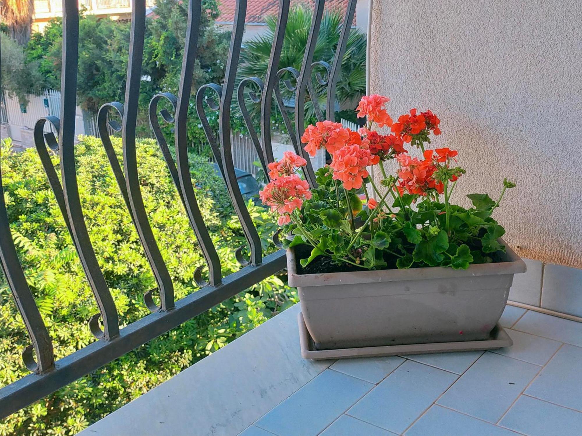 蒙德罗A Casa Di Mara公寓 外观 照片