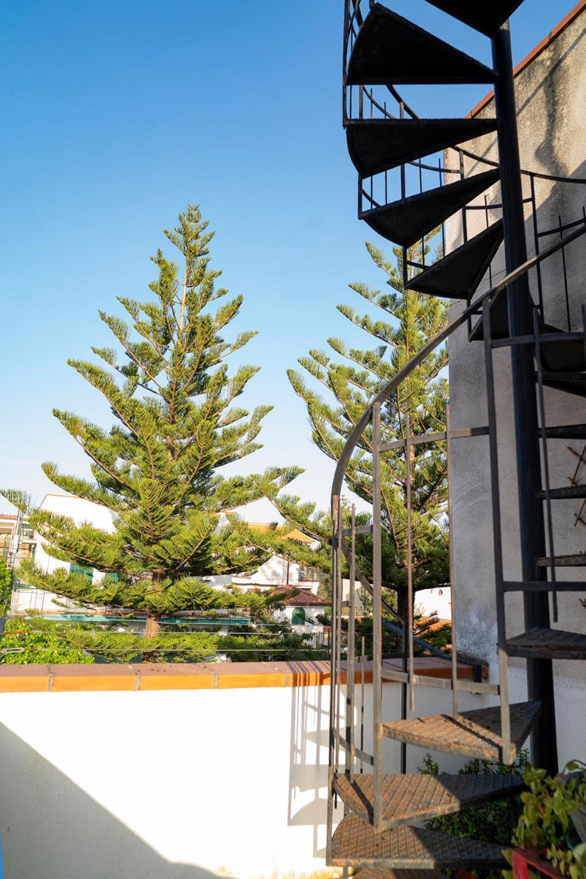 蒙德罗A Casa Di Mara公寓 外观 照片